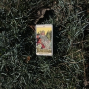 carte de tarot pour la voyance